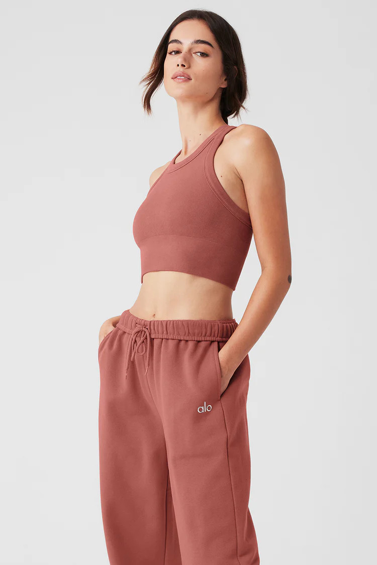 Seamless Delight High Neck Bra - Soft Terracotta | Alo Yoga (US)