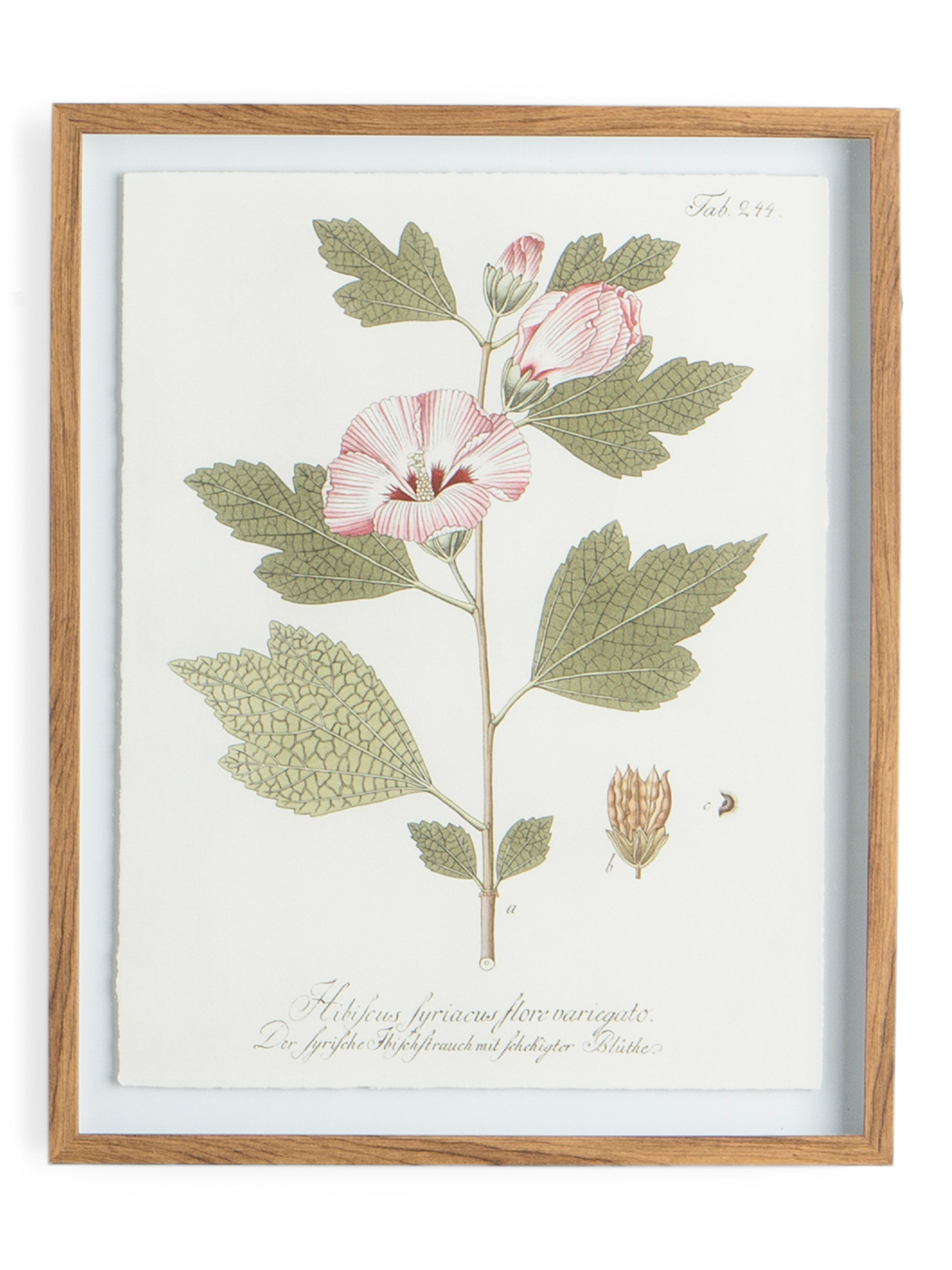 16x20 Kalmia Latiolia Framed Wall Art | Pillows & Decor | Marshalls | Marshalls