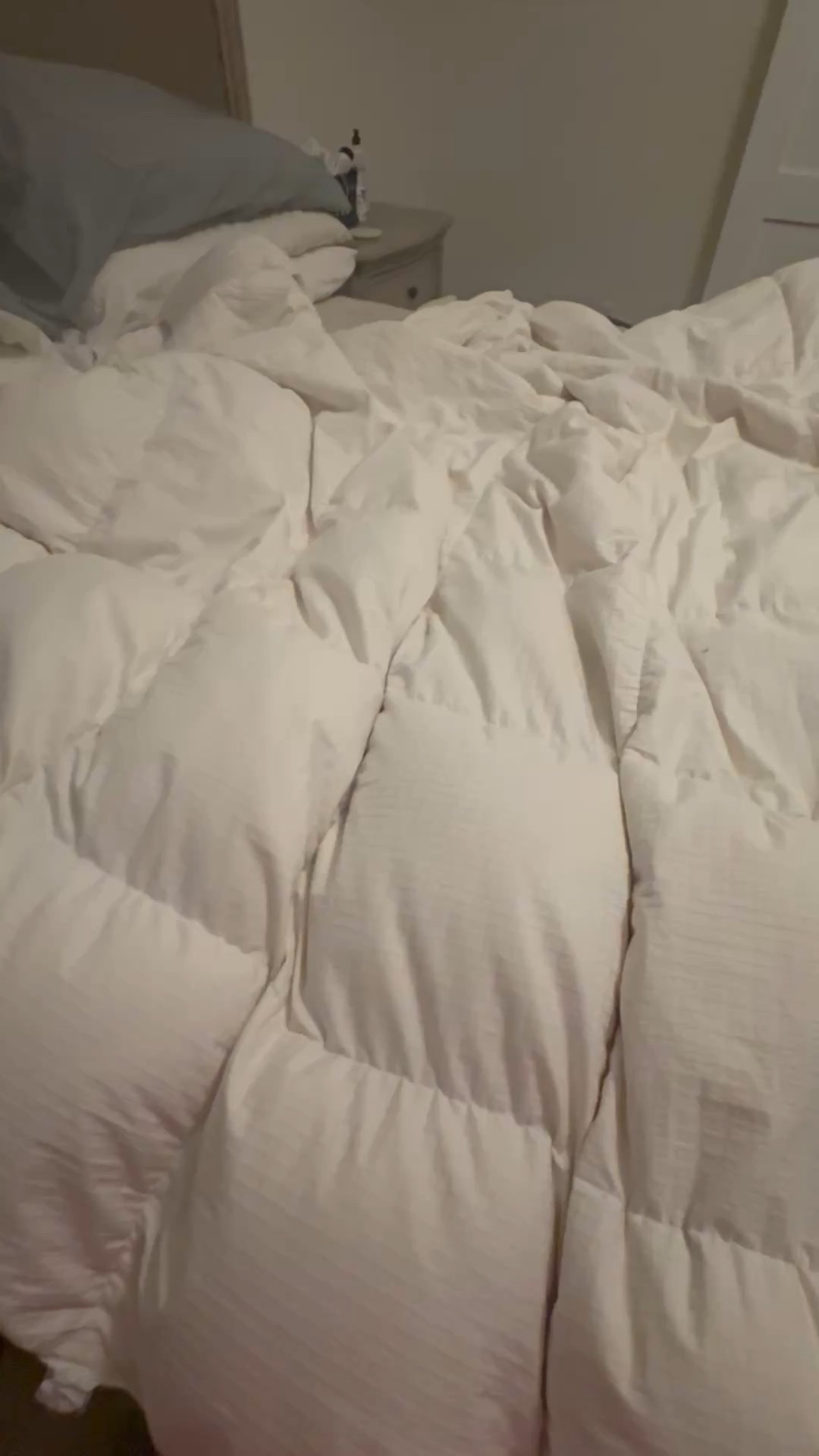 #LTKSaleAlert #LTKHome #LTKWatchNow