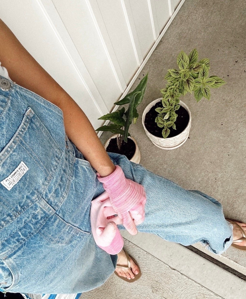 Linking all my garden favorites 🌿🍓



#LTKU #LTKSaleAlert #LTKHome