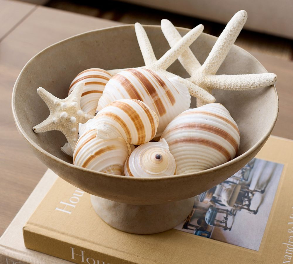 Mixed Shell Vase Filler | Pottery Barn (US)