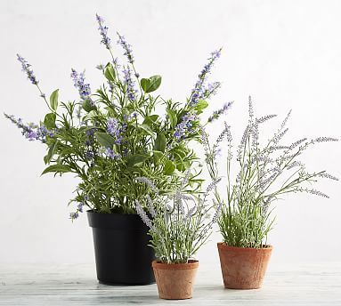 Faux Potted Lavender In Terra Cotta Pot | Pottery Barn (US)