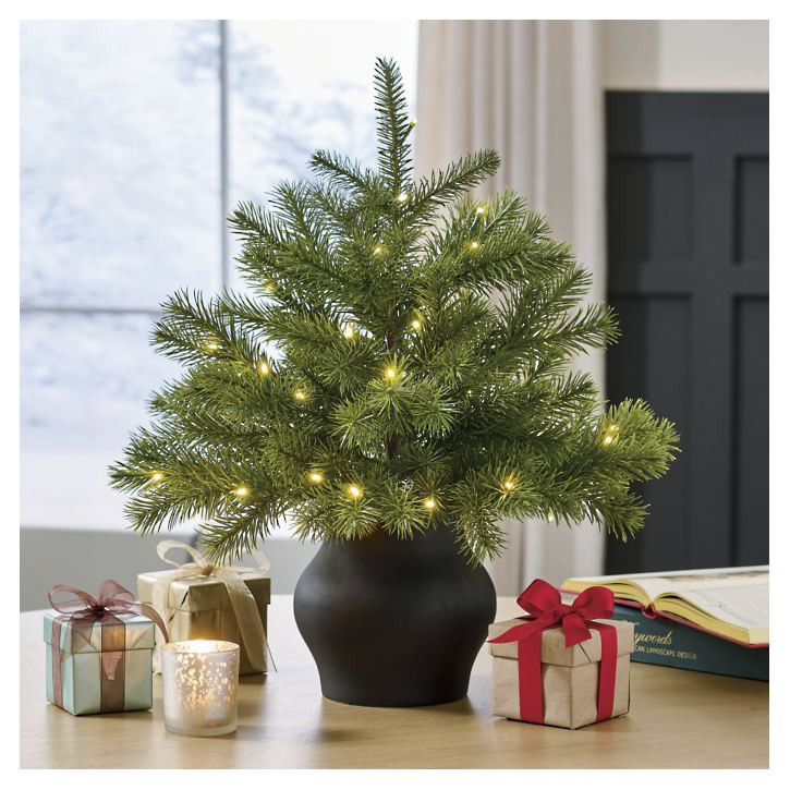 Whimsy Tabletop Tree in Pot | Grandin Road | Grandin Road