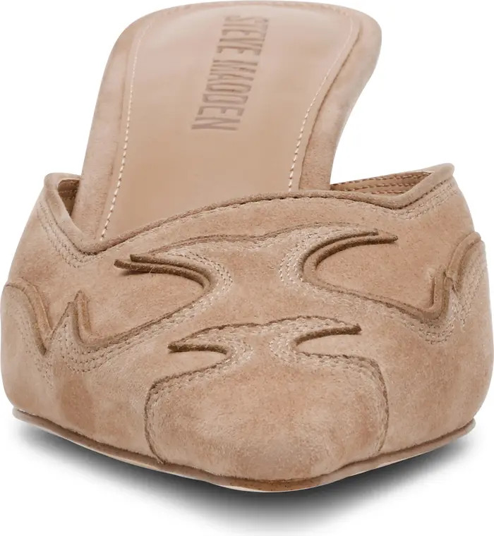 Steve Madden Lisbeth Pointed Toe Mule in Cow Multi at Nordstrom, Size 11 | Nordstrom