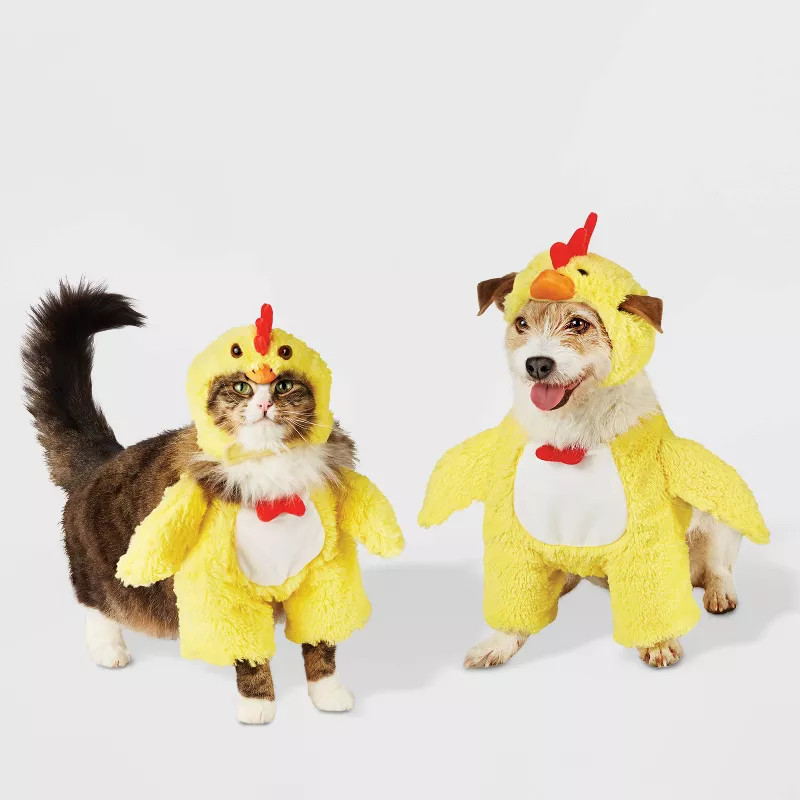 Baby Chick Dog and Cat Costume - Hyde & EEK! Boutique™ | Target