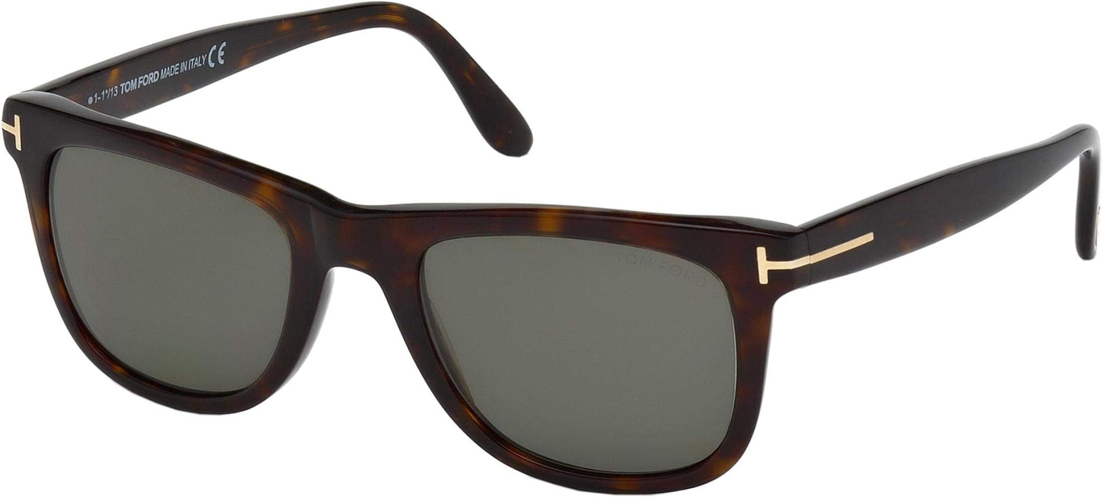 Tom Ford Leo 336 Wayfarer Leo Havana Polarized | Amazon (US)