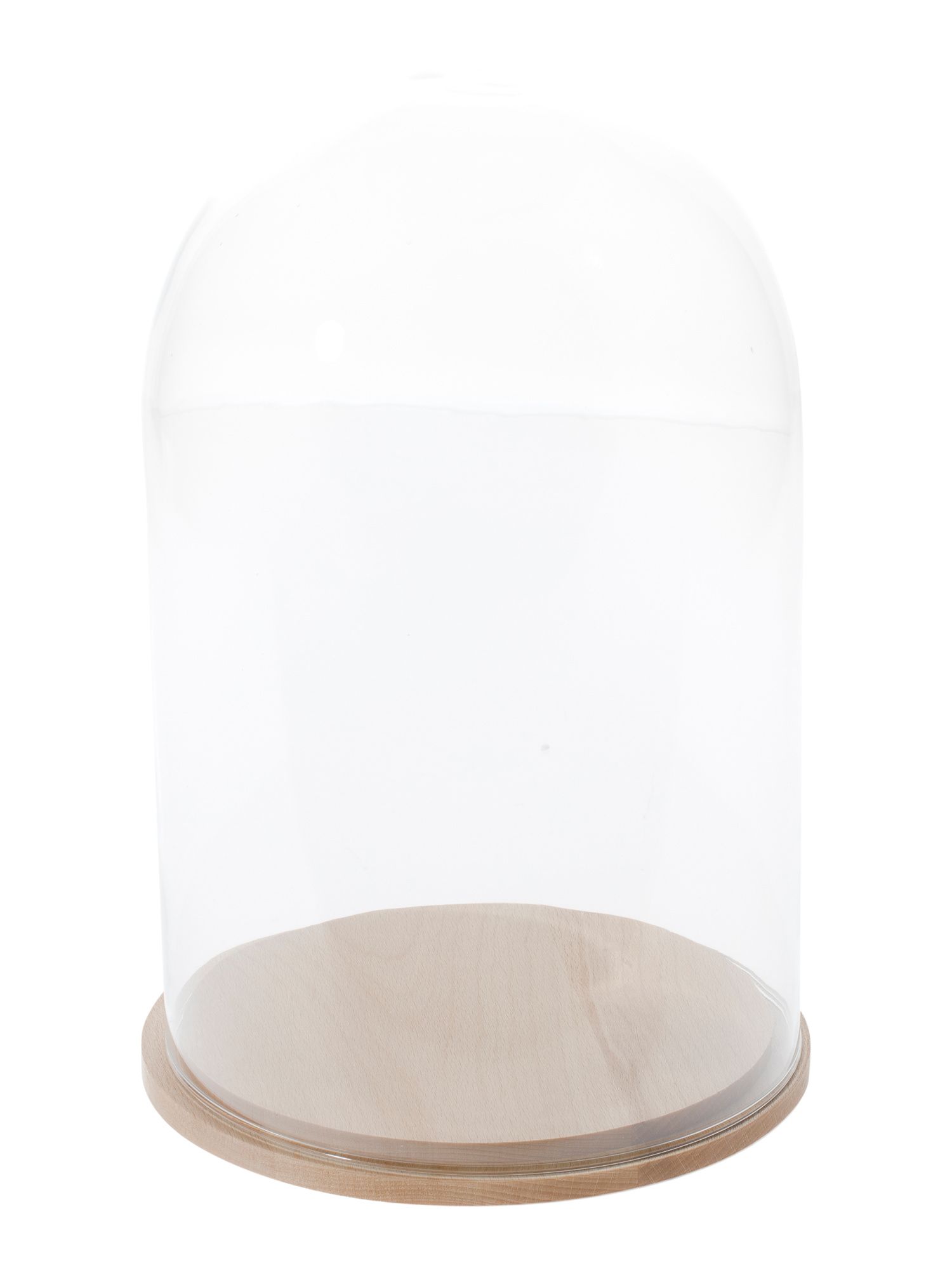 Made In Hungary 12in Glass Bell Jar With Wooden Base | TJ Maxx