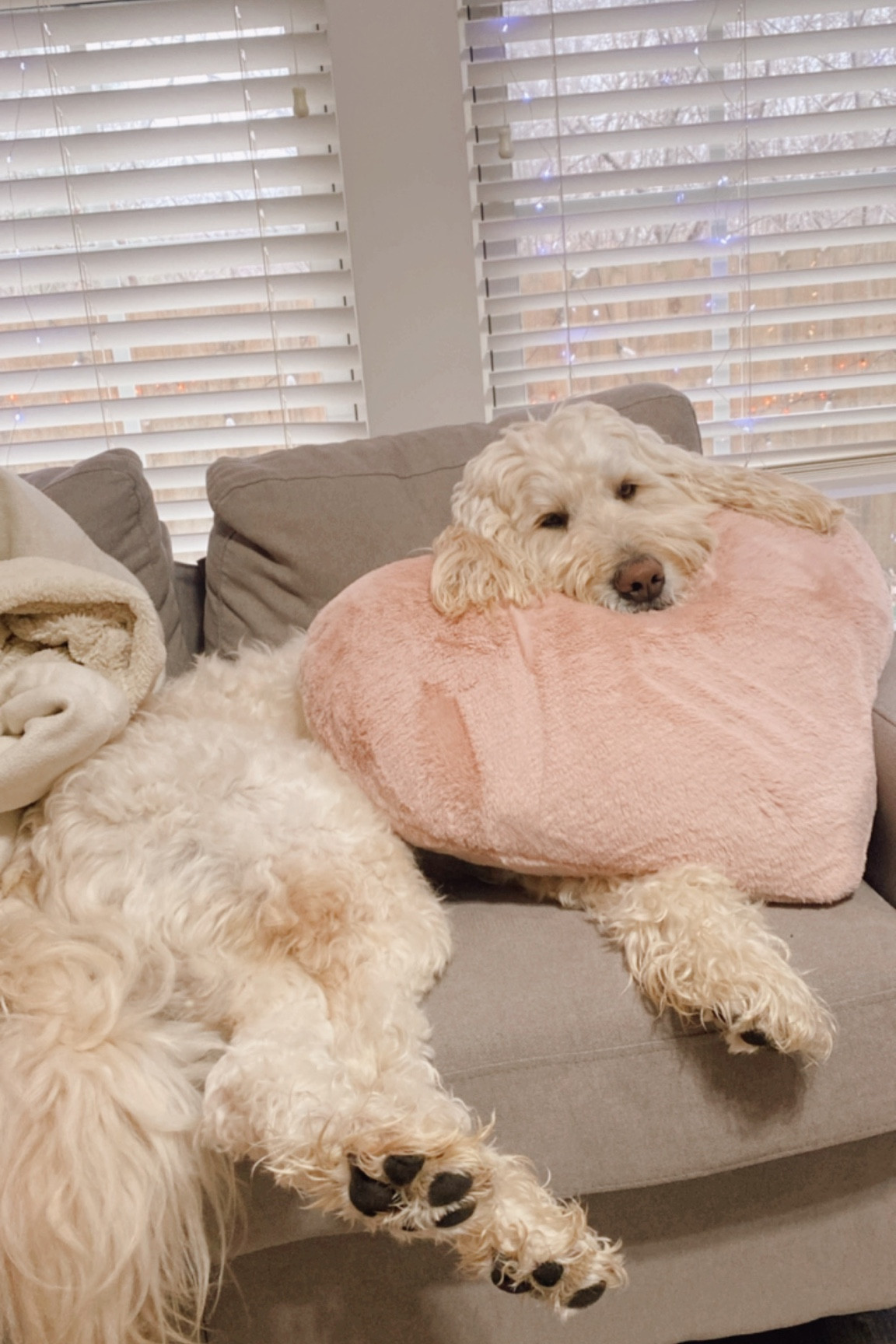 Heart pillow, Valentine’s Day pillow, target Valentine’s Day 

#LTKfamily #LTKhome #LTKunder50