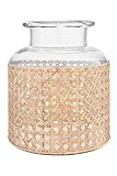 Bloomingville 8"H Glass Vase with Decorative Cane Sleeve | Amazon (US)