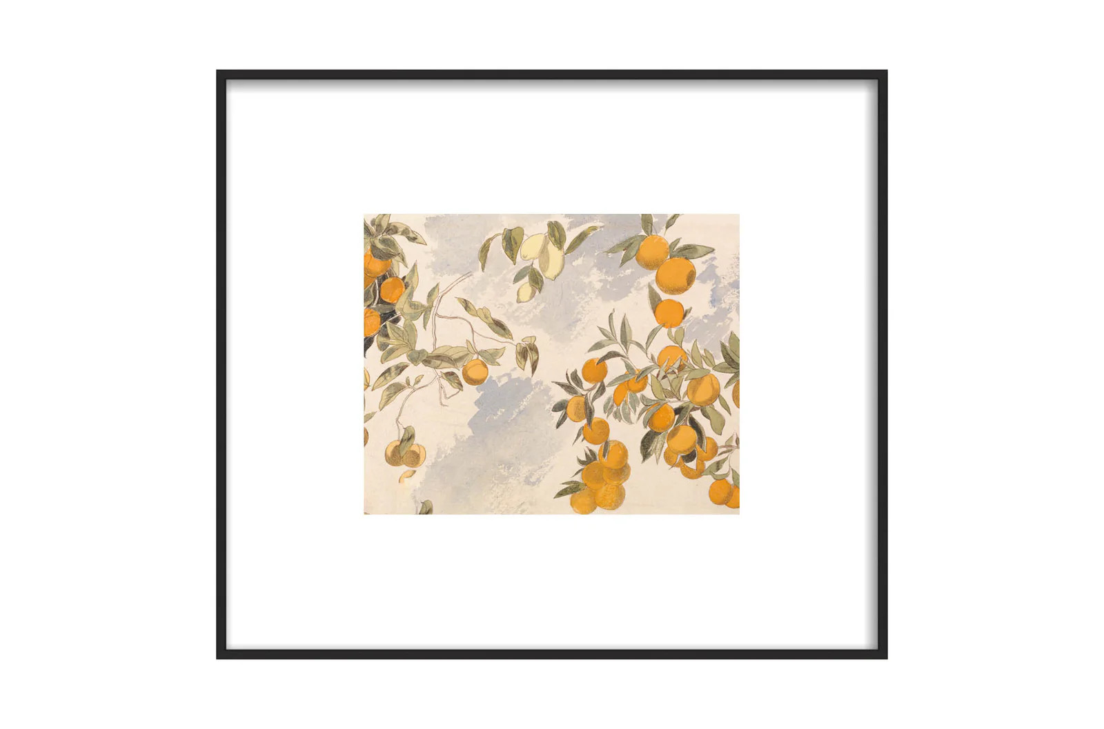 Clementines | North and Finch