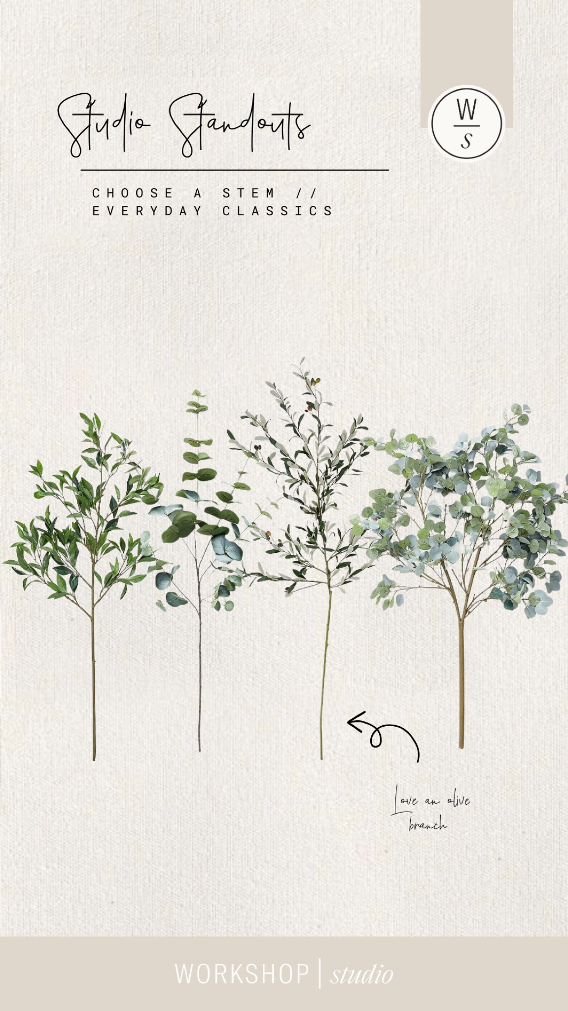 Evergreen stems are great year round florals. We love these olive branches. Silver dollar eucalyptus is another one of our studio go-tos  

#LTKhome #LTKFind #LTKSeasonal
