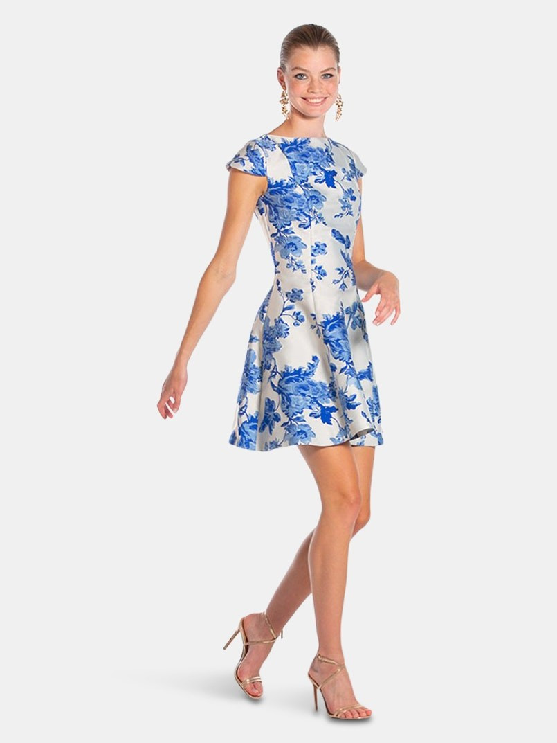 Clementine Mini Dress | Verishop