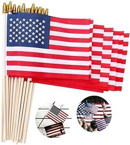 Small American Flags on Stick 5x8 Inch/12 Pack - Mini Ameirican Flags/Handheld American Wooden St... | Amazon (US)
