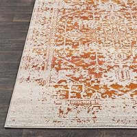Janine Orange and Beige Updated Traditional Area Rug 7'10" x 10'3 | Amazon (US)