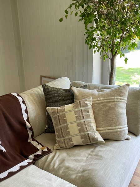 New cozy throw pillows for the couch!

#LTKhome #LTKFind #LTKstyletip