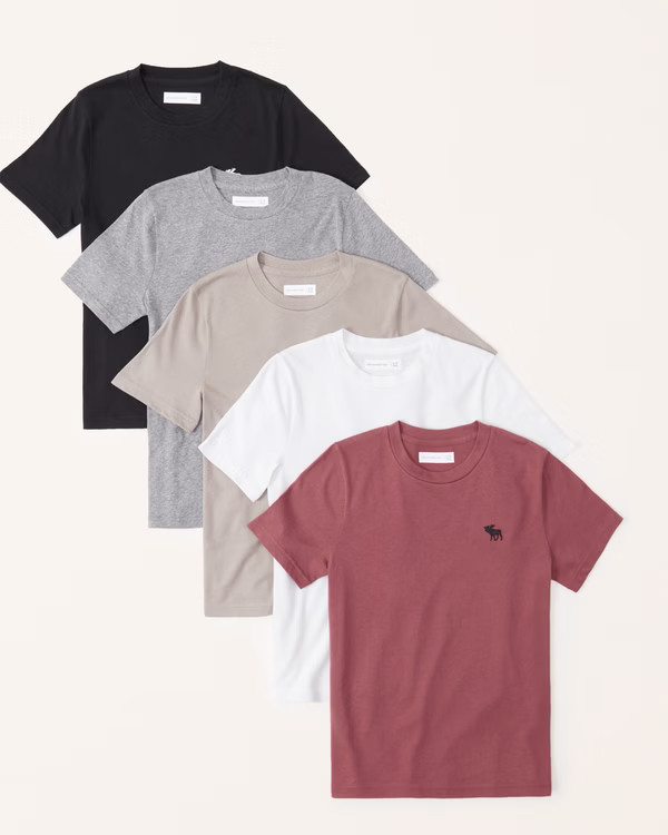 5-pack icon crew tee | Abercrombie & Fitch (US)