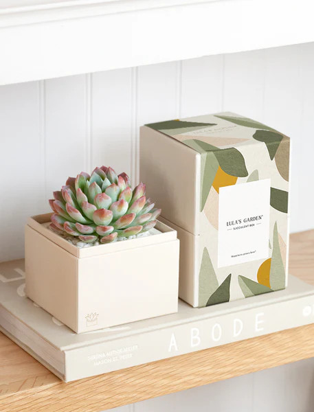 Bliss Garden | Lula's Garden