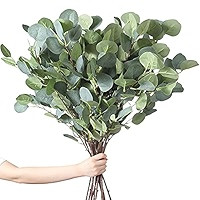 Momkids 4 Pcs Artificial Eucalyptus Stems Fake Leaves Faux Plants Short Stem Silver Dollar Eucalyptu | Amazon (US)