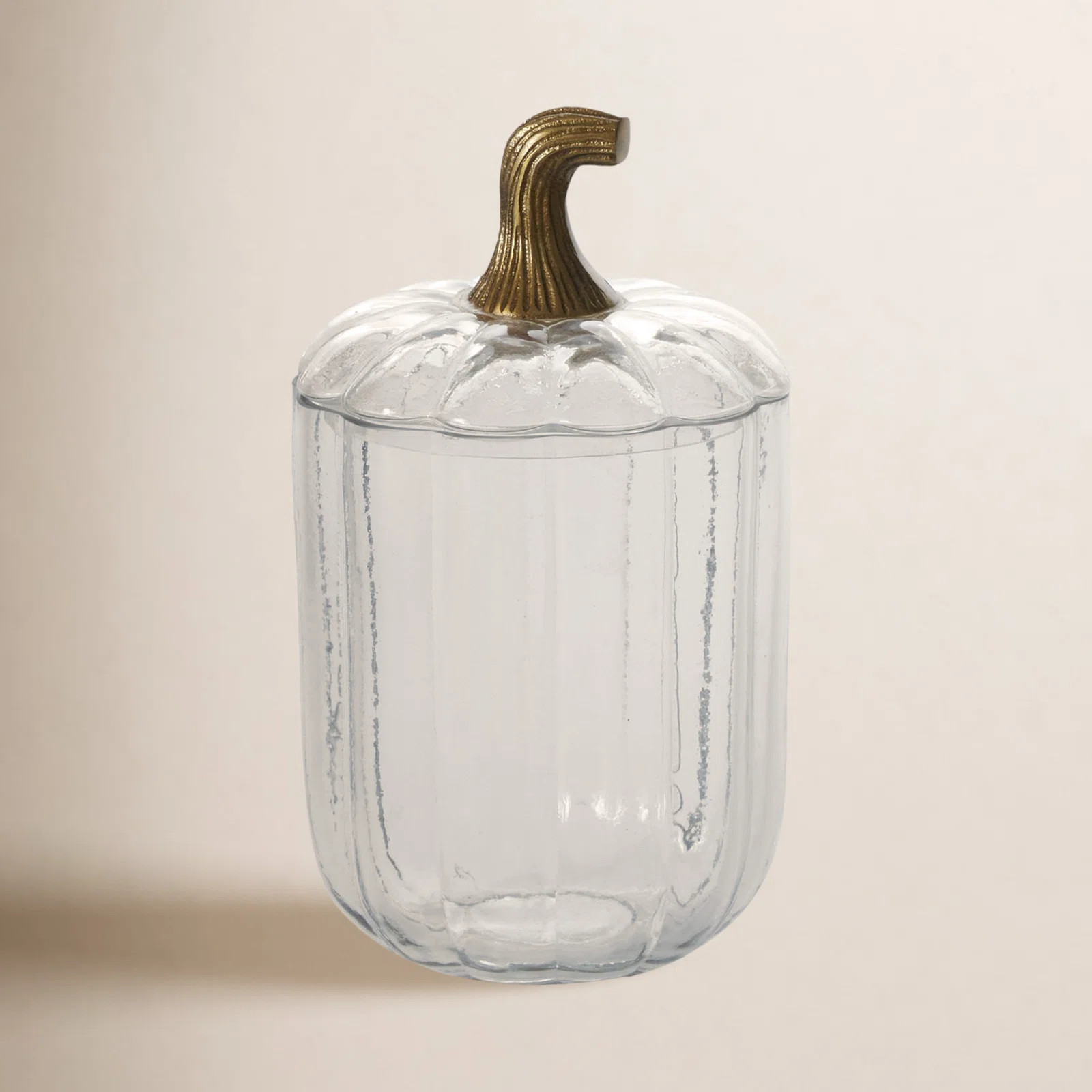 Translucent Pumpkin Terrarium 5"X5"X8.5" | Birch Lane