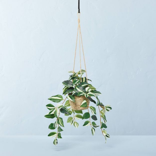 Faux Variegated Zebrina Leaf Hanging Basket Arrangement - Hearth &#38; Hand&#8482; with Magnolia | Target