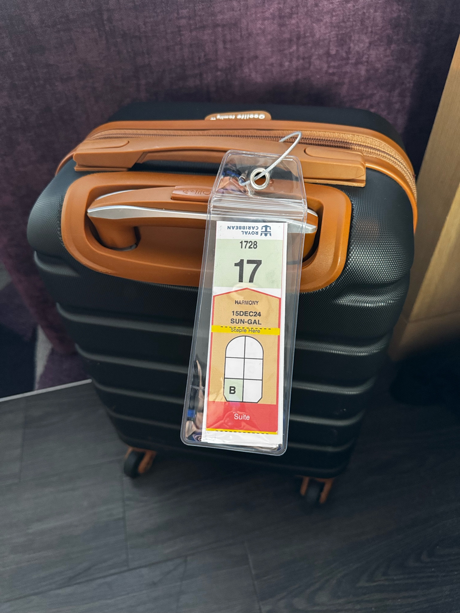 Luggage tags for cruises 

So helpful for not getting your tag ripped off 

Cruise Luggage Tags for Royal Caribbean Ships and Celebrity, 6Pack Clear Tags Cruise Travel Essentials for 2024-2025

#LTKFindsUnder50 #LTKTravel