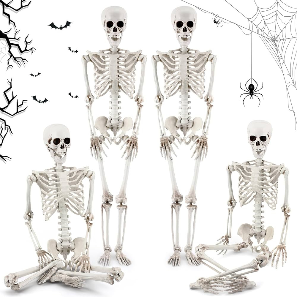 Amazon.com : 4 Pcs Halloween Skeleton Decoration Poseable Skeleton Full Size Halloween Skeleton P... | Amazon (US)
