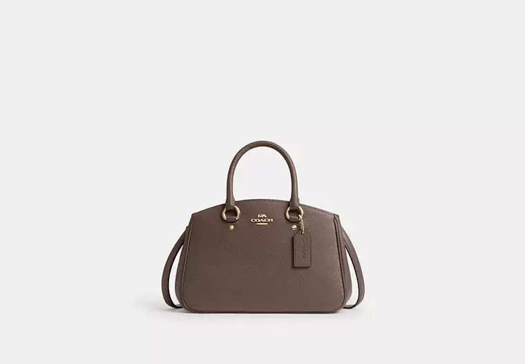 Savannah Small Carryall Bag | Coach Outlet US