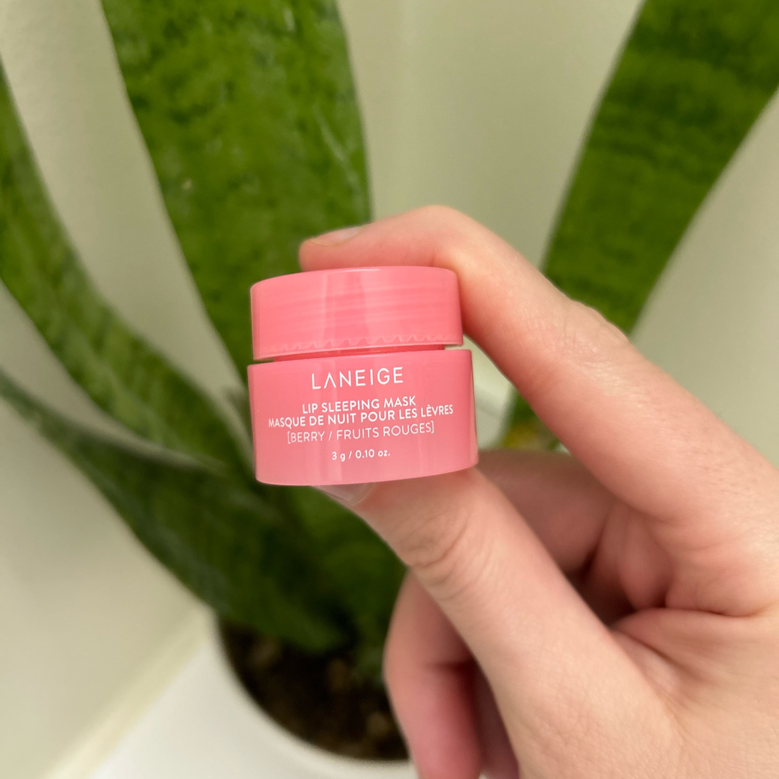 I use this lip mask everyday and it’s amazing! Keeps my lips so moisturized 

#LTKU #LTKbeauty #LTKtravel