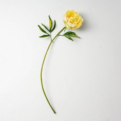 28" Faux Yellow Peony Flower Stem - Hearth & Hand™ with Magnolia | Target