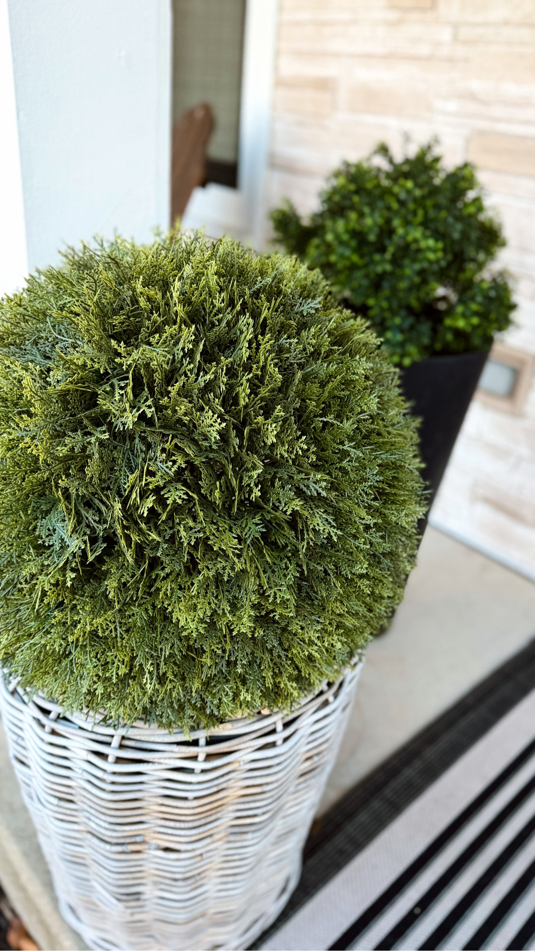 Faux is the way to go 🤍 these are gorgeous and such a good Walmart find. They’re big, heavy, and so beautiful. Already ordered more for the backyard around the pool 🙌🏼 high sellout risk… this is a must grab and they come assembled + fluffed ✨! 



#LTKHome #LTKvlog #LTKSeasonal