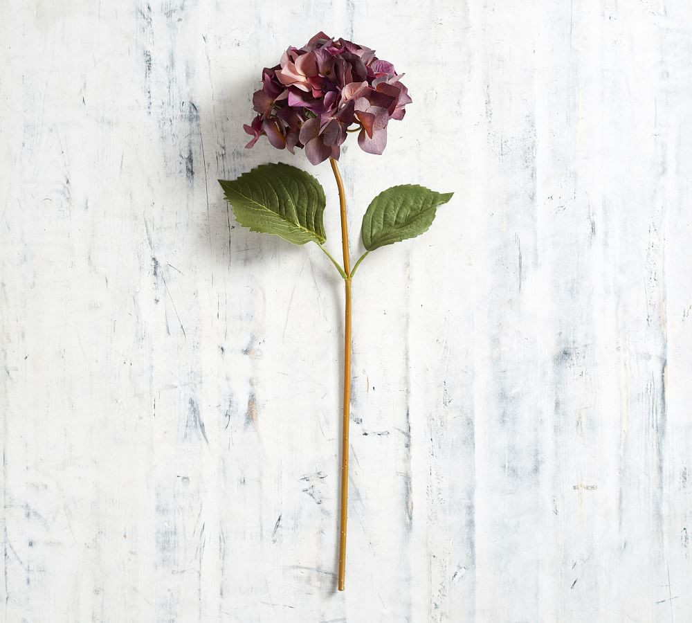 Faux Autumn Hydrangea Stem - Plum | Pottery Barn (US)