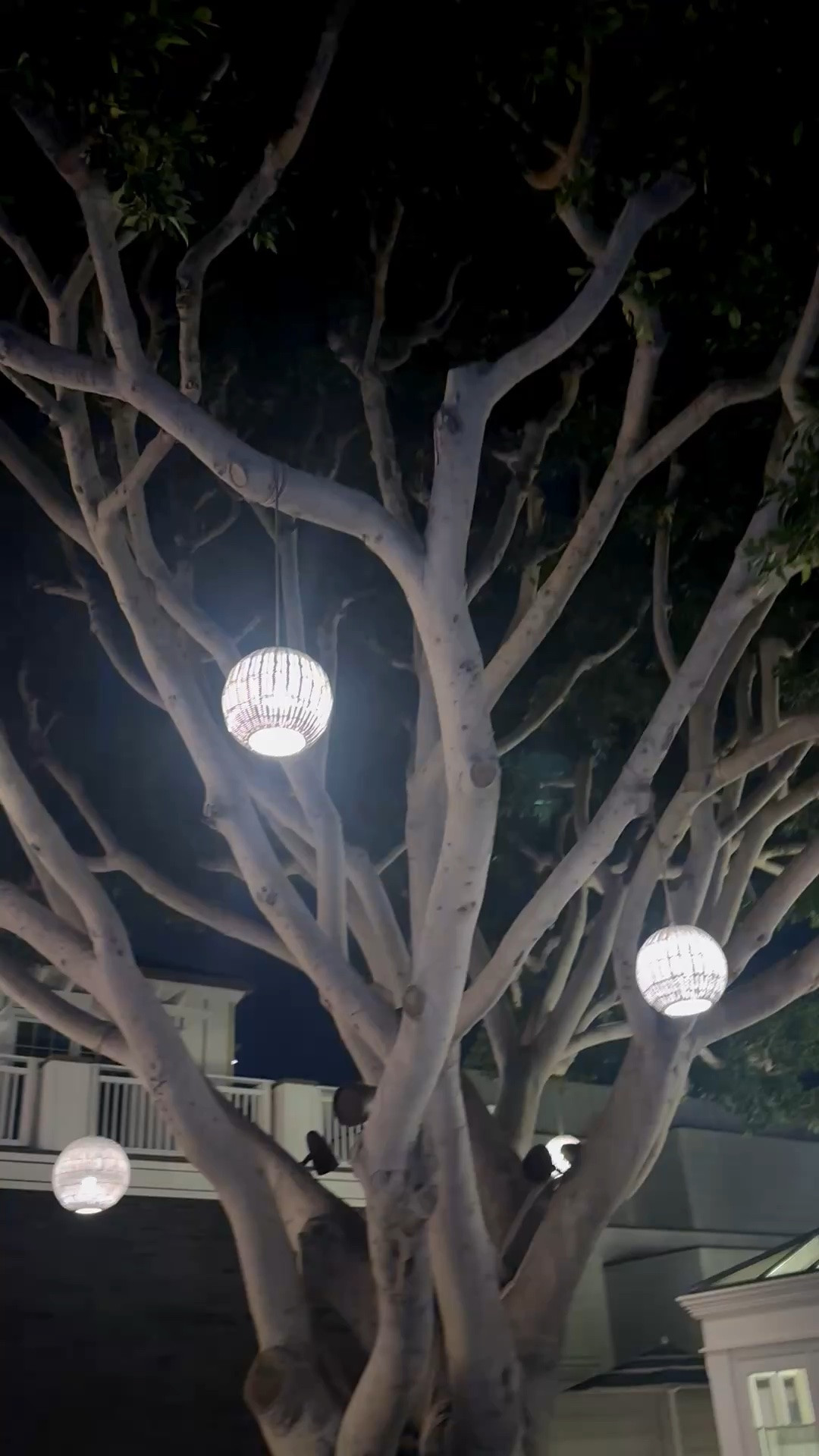 Love how these layered rattan pendants softly glow through the trees at night and instantly create that relaxed resort-at-home feeling ✨ The multiple pendants hanging together make the whole outdoor space feel warm, elevated, and perfect for summer entertaining, outdoor dining, and long evenings outside.

Final hours — up to 30% off outdoor at Serena & Lily. Time to get your summer ready.

#rattanpendant #outdoorlighting #outdoorliving #resortstyle #summerentertaining #patiolighting #outdoordecor #coastalliving #luxuryoutdoors #pendantlight #backyardinspo #outdoorstyle #summerdecor #designerlighting #serenaandlily

#LTKdayinmylife #LTKHome #LTKSaleAlert