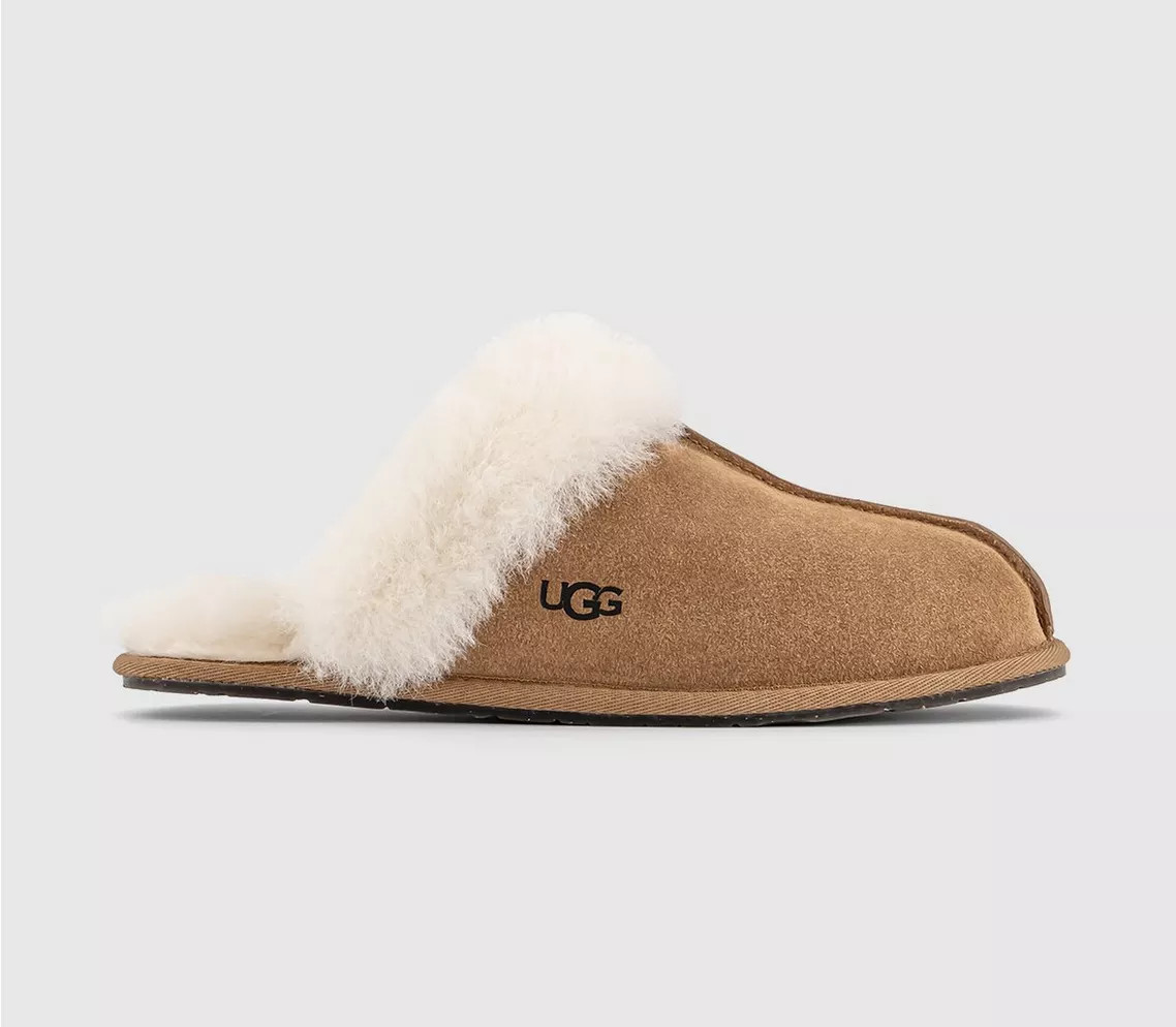 UGG | Office Shoes (UK)