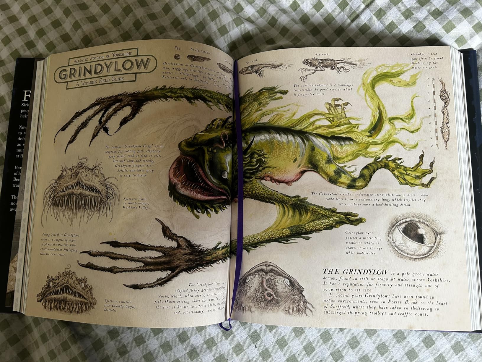 Harry Potter and the Prisoner of Azkaban: The Illustrated Edition (Harry Potter, Book 3) (3) | Amazon (US)