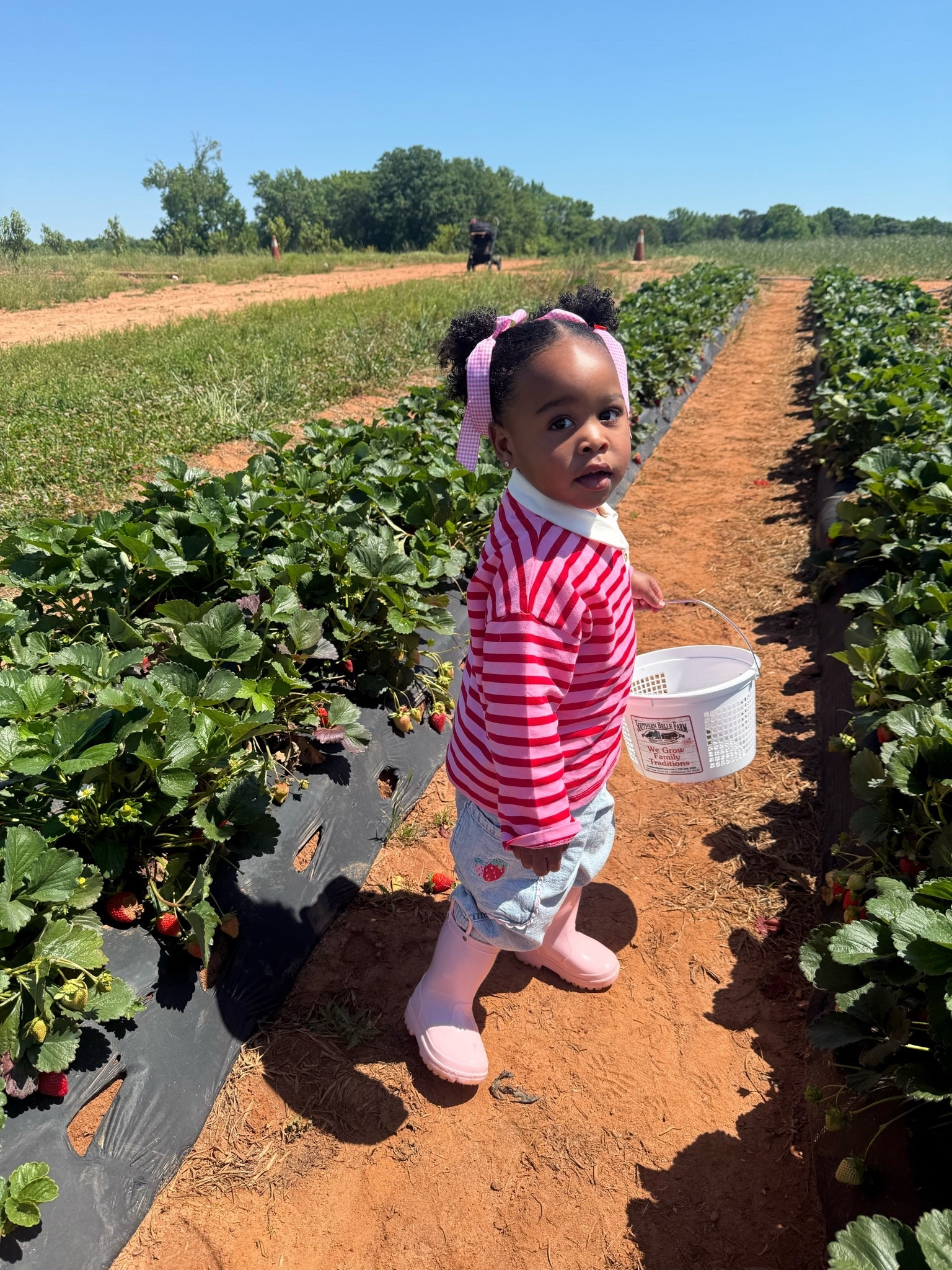 The perfect toddler spring outfit for a fun outing with your babygirl! The different shades of pink and stripes really made it pop! Babygirl is wearing a size 2T and top is from Zara! 🎀

#LTKootd #LTKKids #LTKBaby