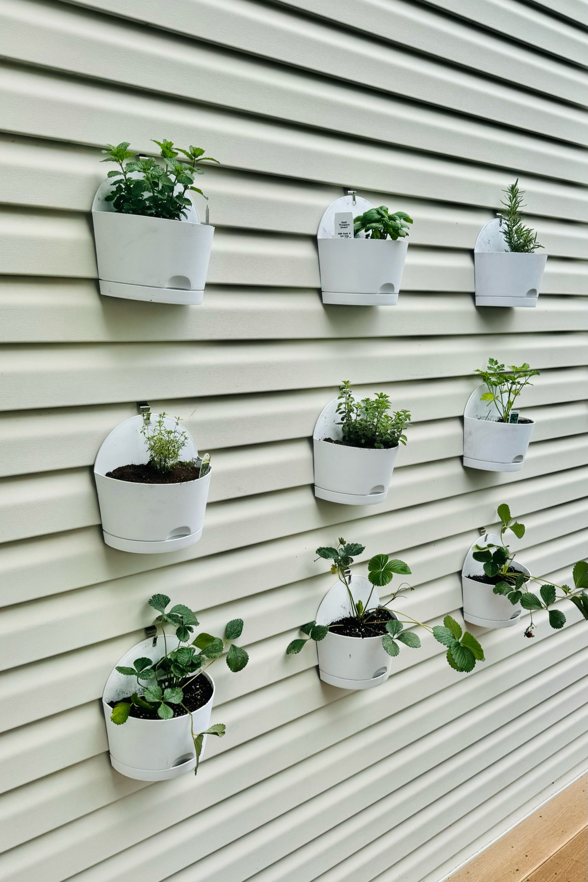 Herb wall

#LTKHome #LTKSeasonal