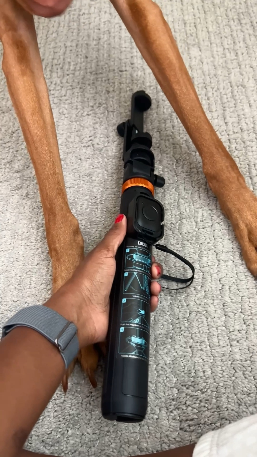 The grand and go tripod every creator needs! It’s currently on sale. 

#LTKSeasonal #LTKStyleTip