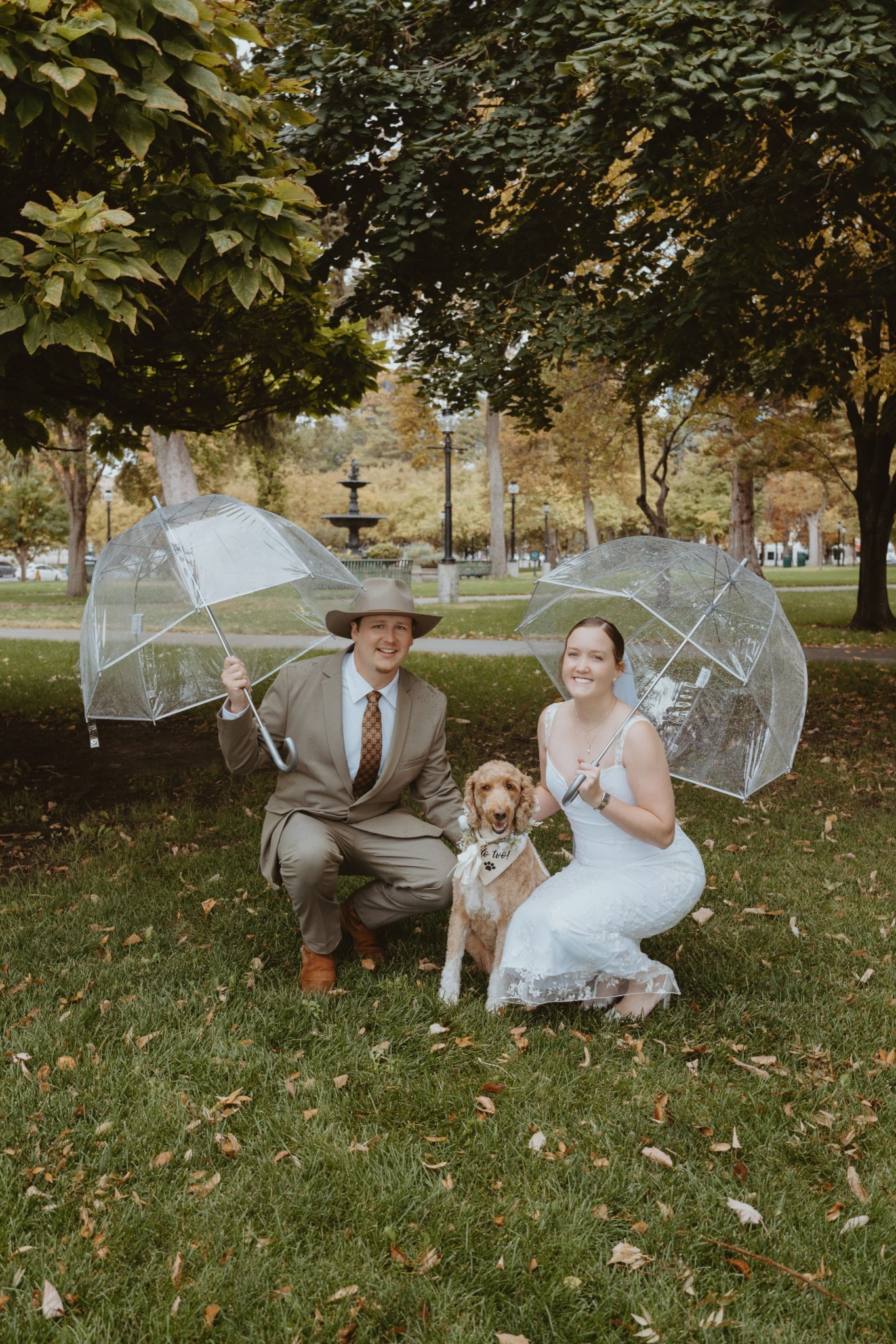 #LTKSeasonal #LTKWedding #LTKootd