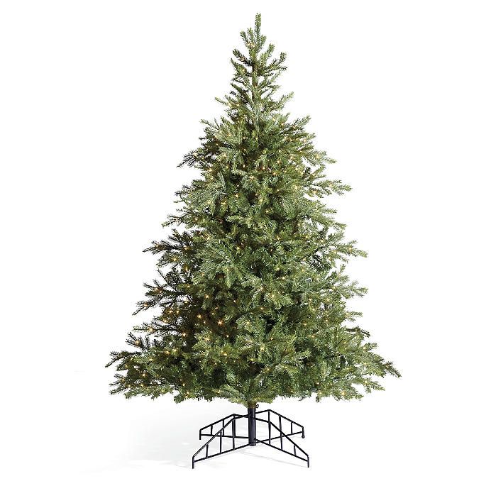 Grand Fir 7 ft. Tree | Frontgate | Frontgate