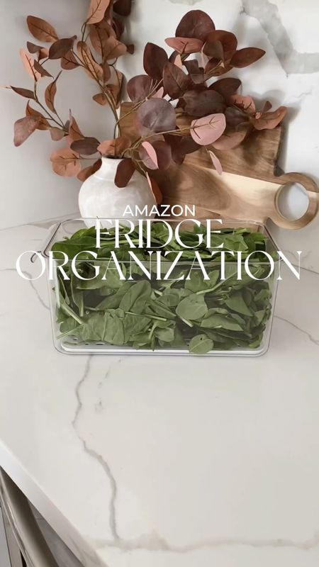 Amazon fridge organization #organizers #refridgerator #fridgeorganizers #amazonorganization #foodstorage #bins #eggtray #glassfoodstorage #glasscontainers #producebins #producestorage #kitchenorganization #amazon #amazonfinds #amazonhome #amazonmusthaves #home #homefinds

#LTKhome #LTKFind #LTKunder50