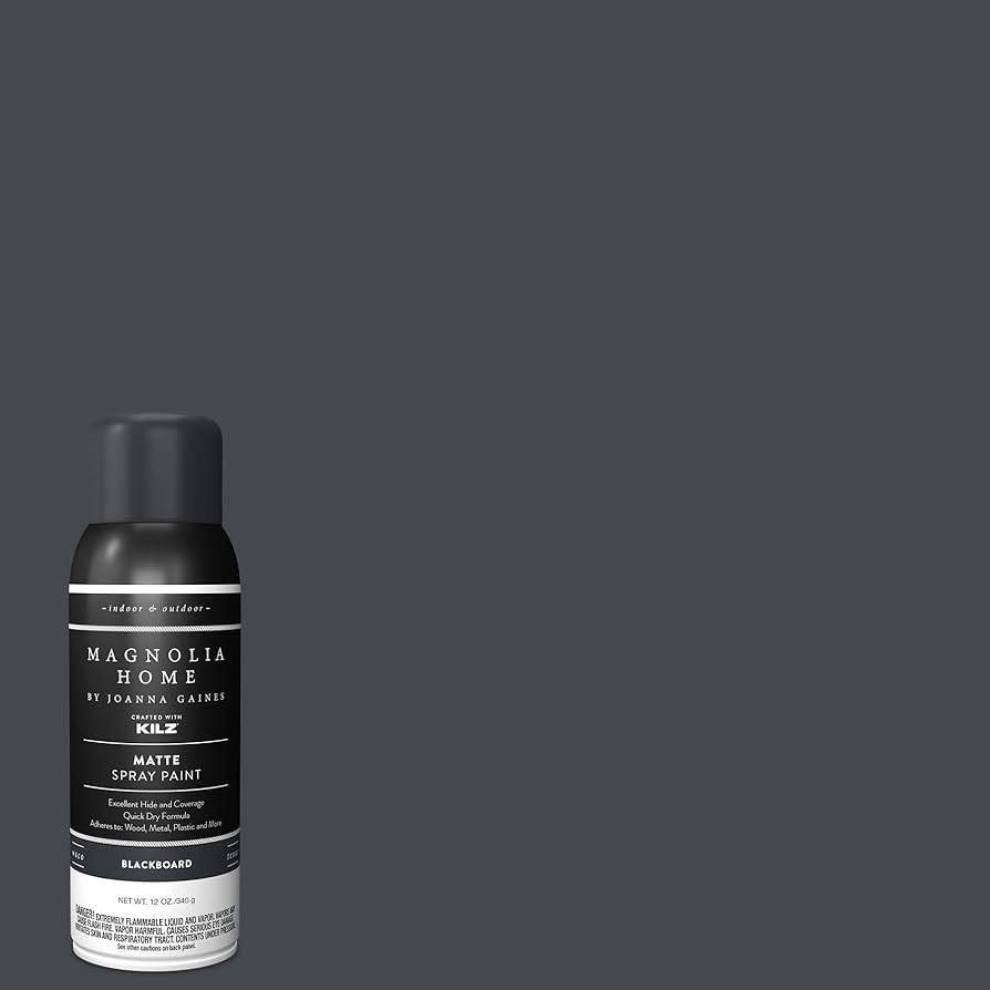 Magnolia Home by Joanna Gaines Enamel Interior/Exterior Spray Paint for Small Projects, Matte, BL... | Amazon (US)