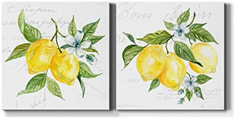 Amazon.com: Renditions Gallery Lemon Squeeze Wall Art, Premium Gallery Wrapped Canvas Decor, Read... | Amazon (US)