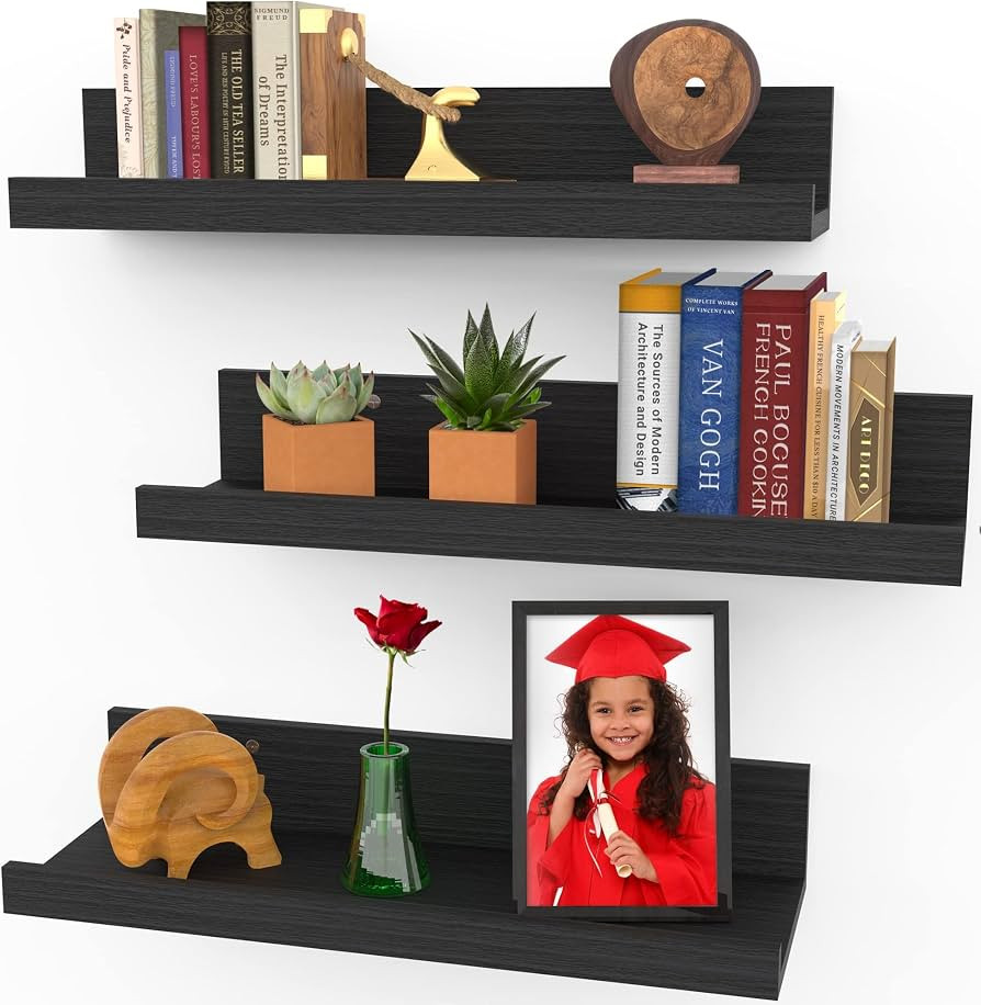 Icona Bay 16 Inch Floating Shelves for Wall - Set of 3 in Ebony Black - Modern Rustic Style - Wal... | Amazon (US)