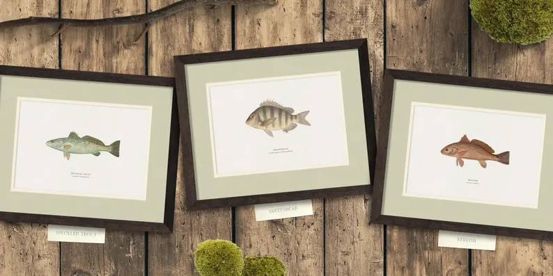 Framed Vintage Saltwater Fish in Rustic Real Wood Frames, Perfect Gift for a Hunter, Fisherman, o... | Etsy (US)