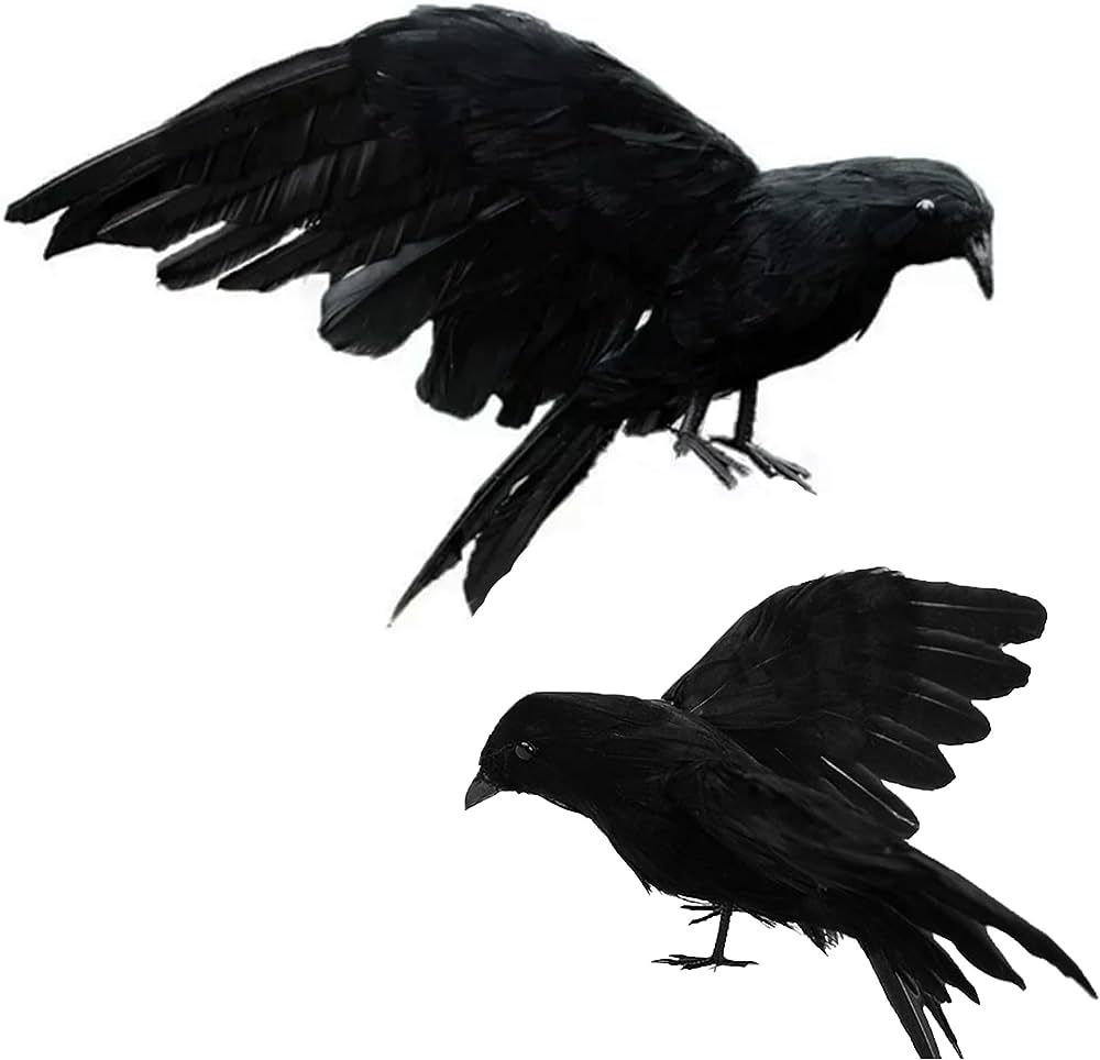 yumhum 2 Packs Large Crows Halloween Decorations, Lifelike Real Feathers Halloween Crows Big Hall... | Amazon (US)