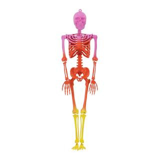 23" Bright Ombre Skeleton Wall Décor by Ashland® | Michaels | Michaels Stores