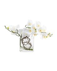 12in Orchid Arrangement In Glass | Marshalls