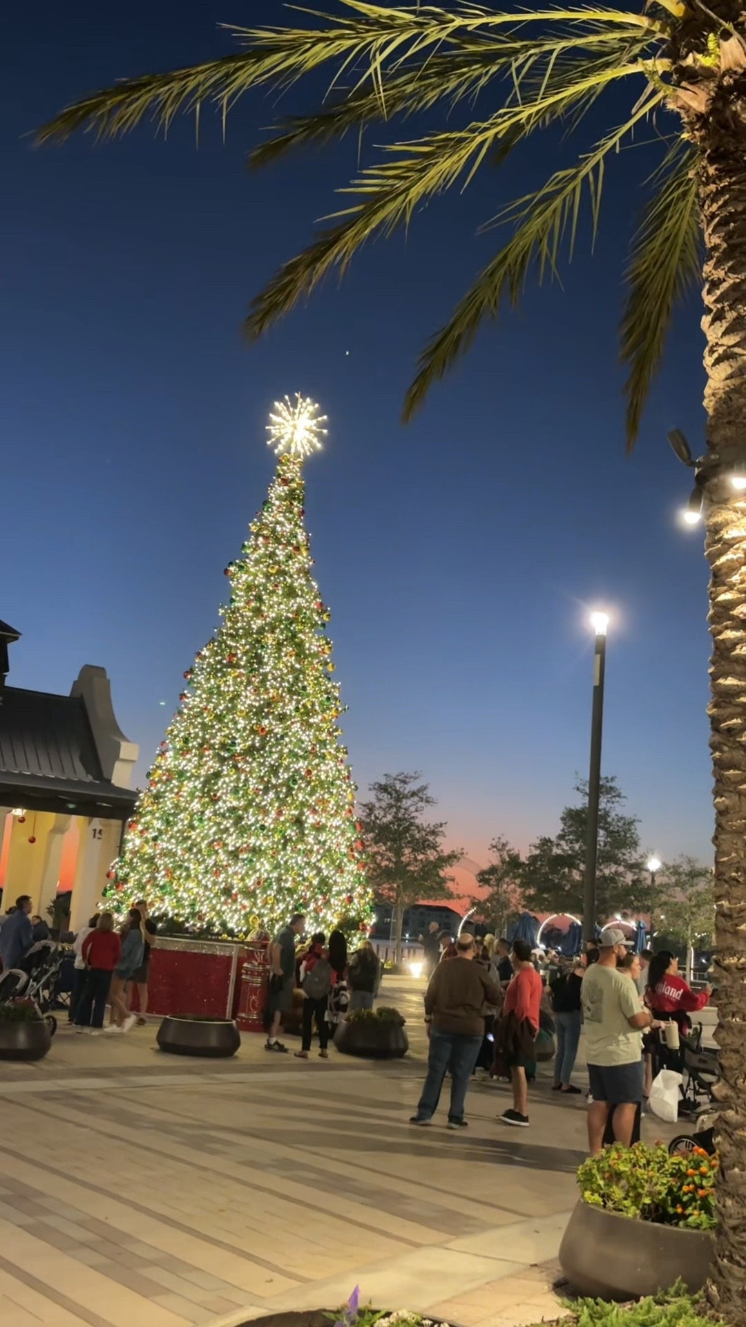 Vlogmas day 2 ✨🎄

Christmas goodie bag vlog keywords: holiday prep, Christmas goodie bags, festive stocking stuffers, DIY gift ideas, cozy Christmas aesthetic, wrapping gifts, holiday vlog vibes, productive day, morning routine, gym workout, fitness motivation, wellness lifestyle, getting ready, OOTD, going out to dinner, aesthetic night out, Sarasota Bradenton lifestyle, micro-influencer vlog, aesthetic content, holiday season content

#LTKSeasonal #LTKGiftGuide #LTKHoliday