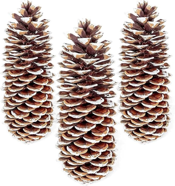 Large Pine Cones for Crafts, 9-12 Inch Extra Large Frosted Sugar Pinecones - Set of 3 Natural Pin... | Amazon (US)