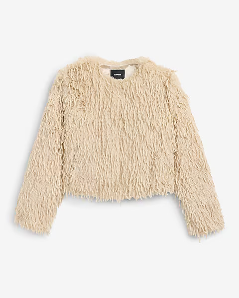 Feathered Faux Fur Coat | Express